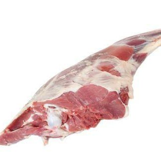 Kambing