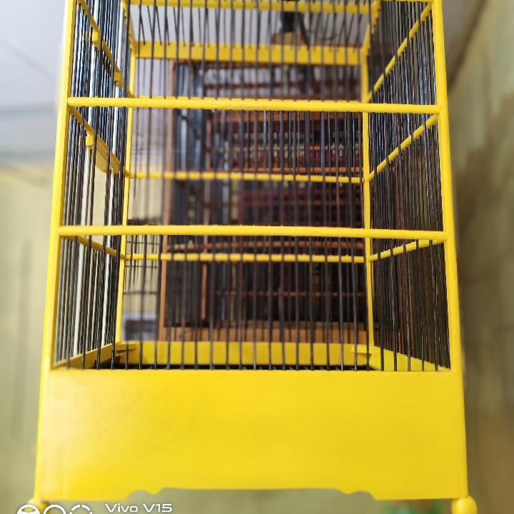 Kandang