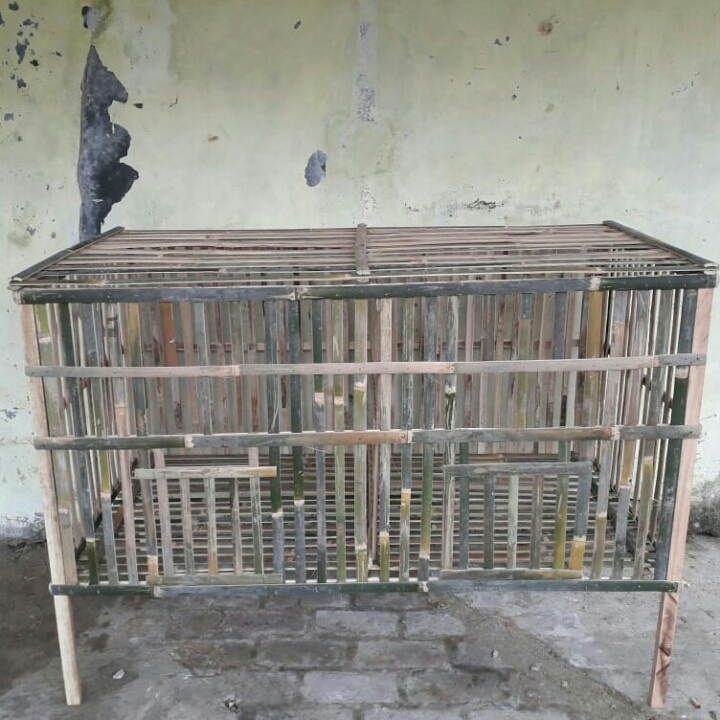 Kandang Bambu 2
