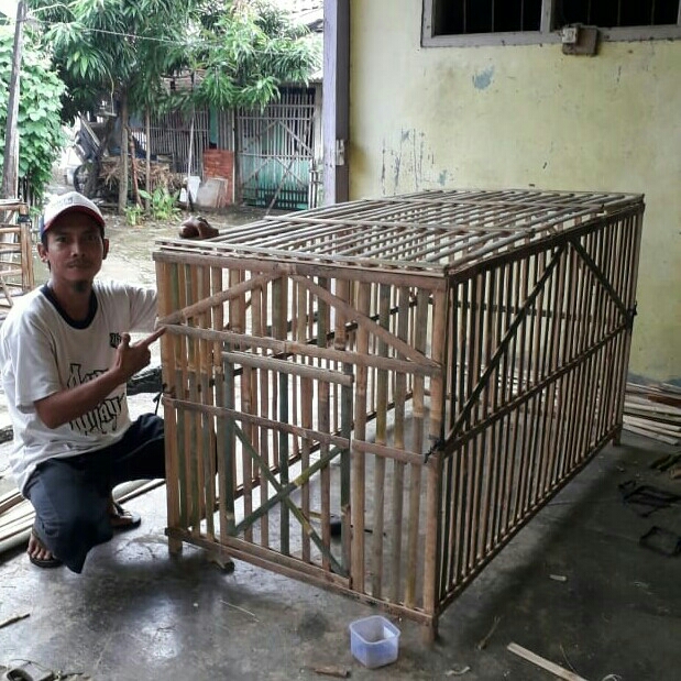 Kandang Bambu 3