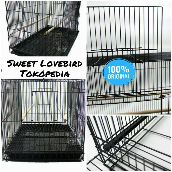 Kandang Kucing-Kelinci-Sugar Glider-Burung SIZE L 60x42x50 4