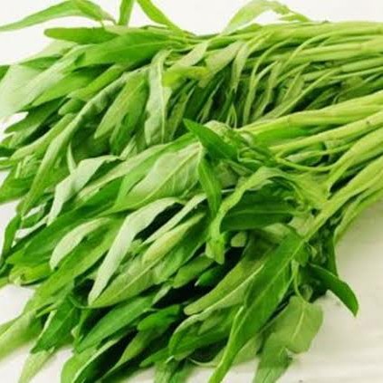 Kangkung