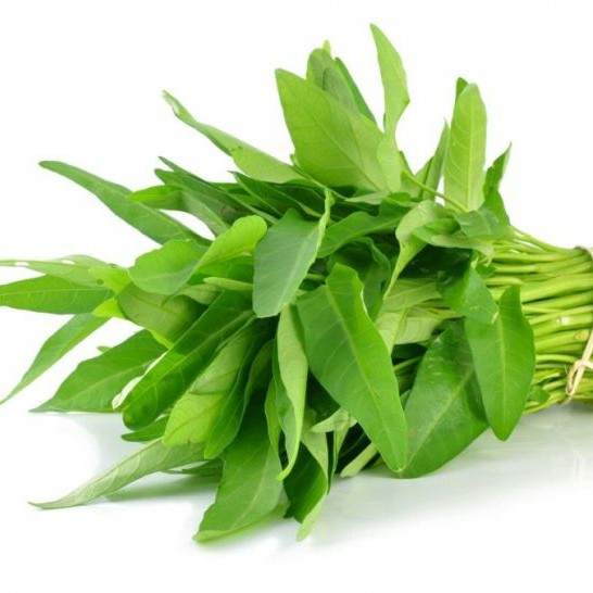 Kangkung