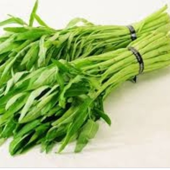 Kangkung