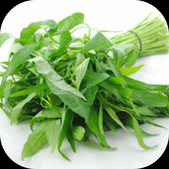 Kangkung