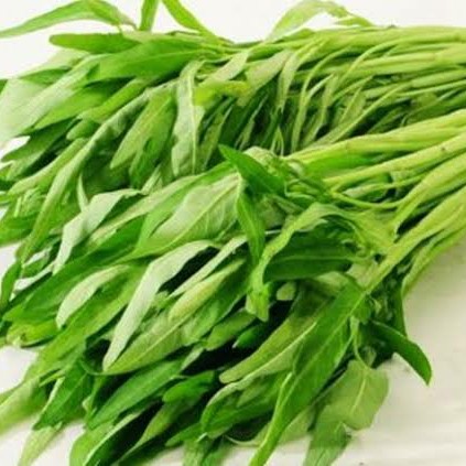 Kangkung