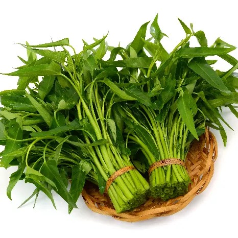 Kangkung