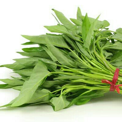 Kangkung