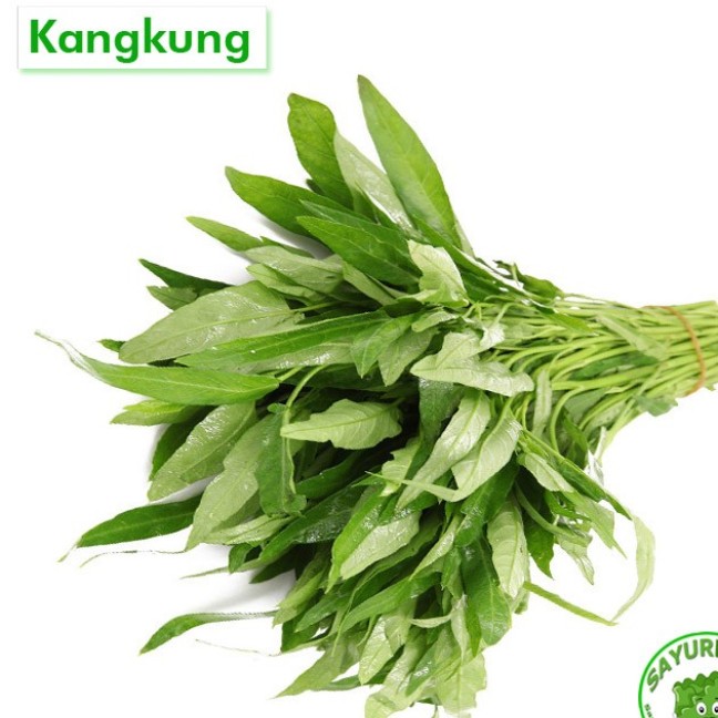 Kangkung