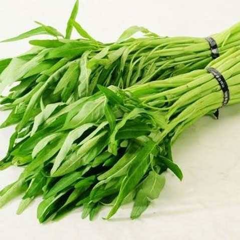 Kangkung