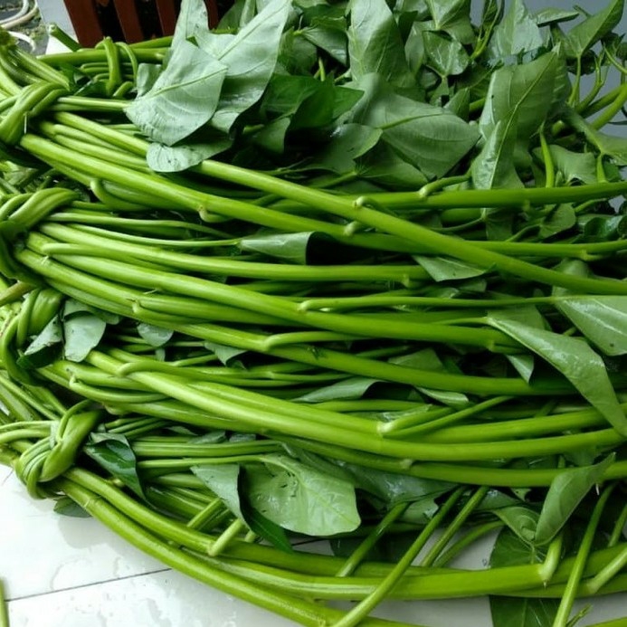 Kangkung 1 Ikat