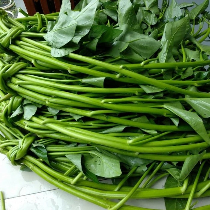 Kangkung 1 Ikat