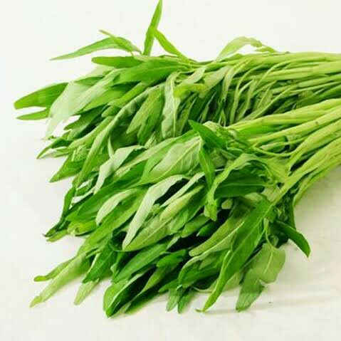Kangkung Biasa