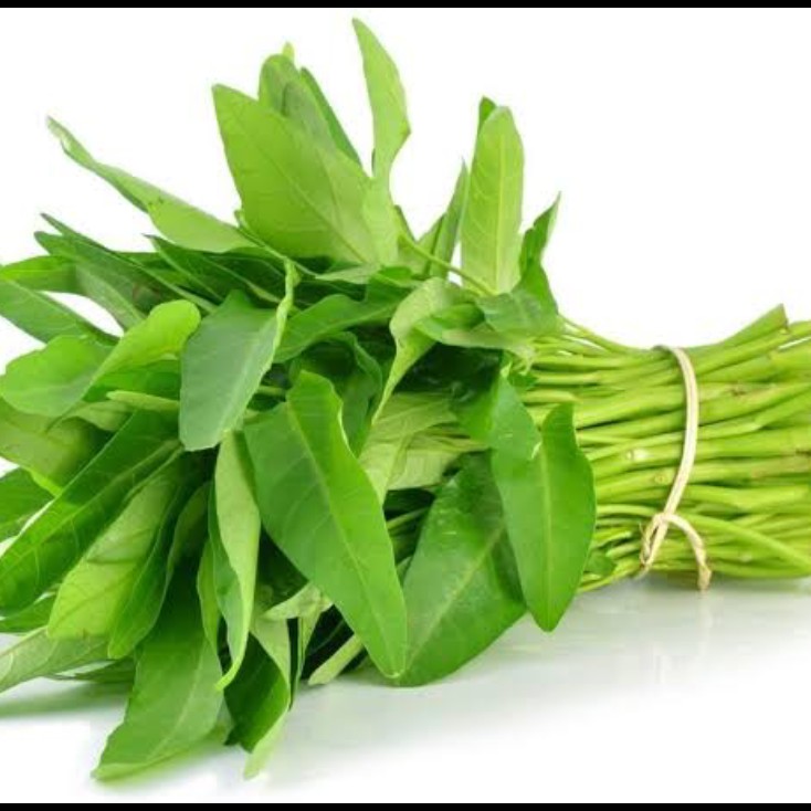 Kangkung Segar