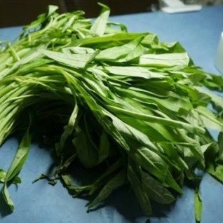 Kangkung Segar 3 Ikat