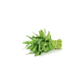 Kangkung per Ikat