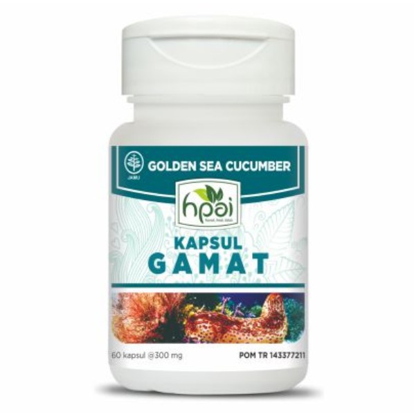 Kapsul Gamat