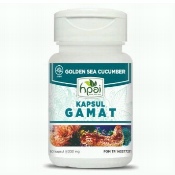 Kapsul Gamat