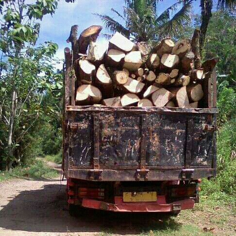 Kayu 