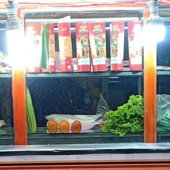 Kebab Daging Telur