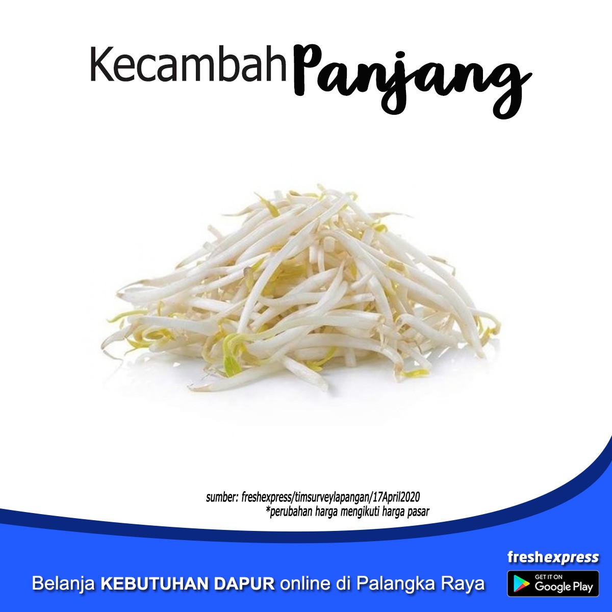 Kecambah Panjang - Seperempat Kg