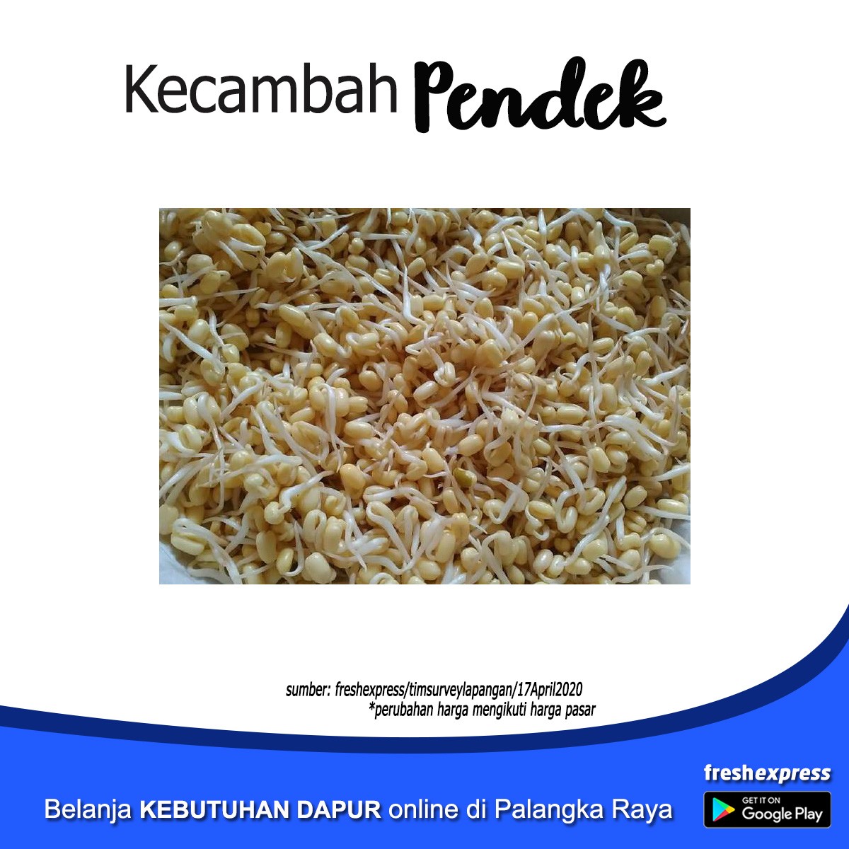 Kecambah Pendek - Setengah Kg