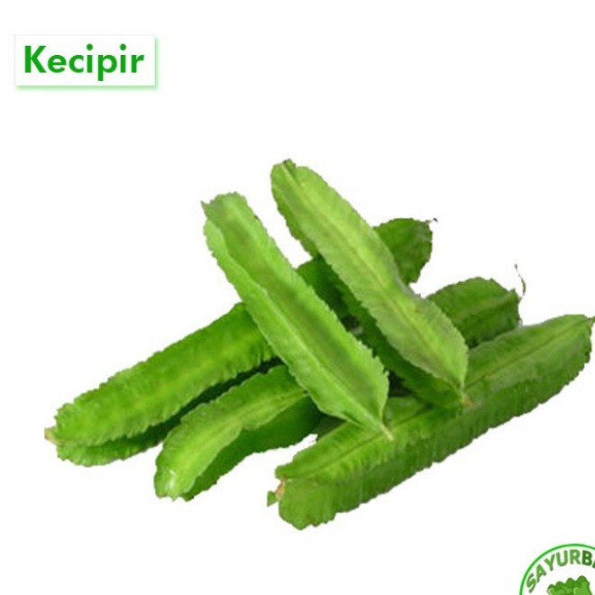 Kecipir