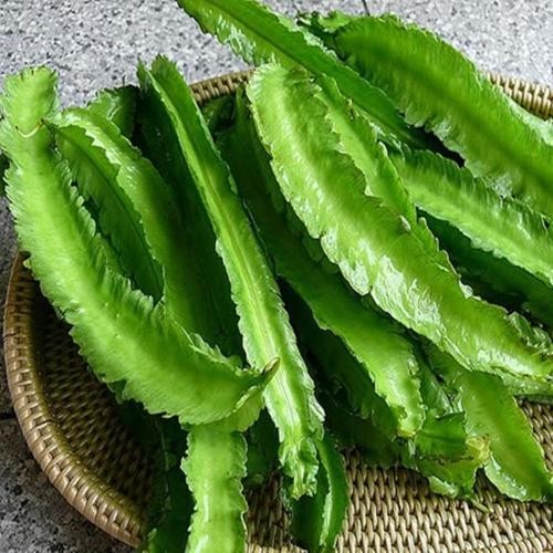 Kecipir