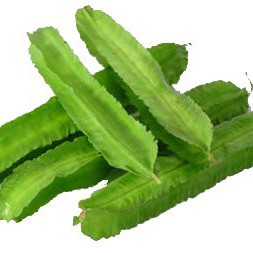 Kecipir