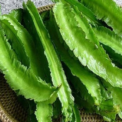 Kecipir
