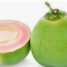 Kelapa Hijau