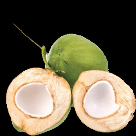 Kelapa Ijo