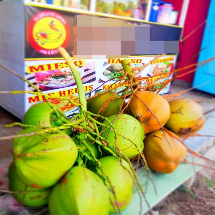 Kelapa Muda
