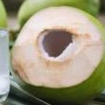 Kelapa Muda