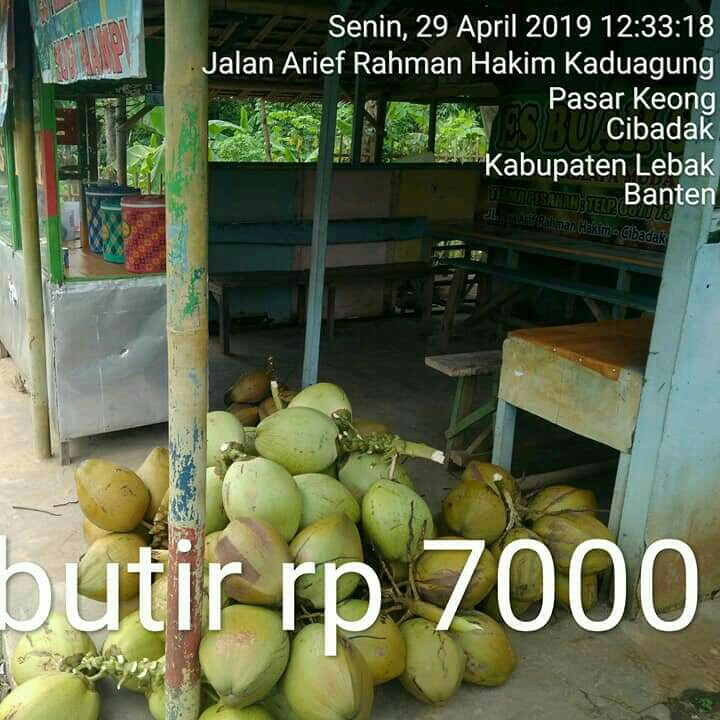 Kelapa Muda Butiran