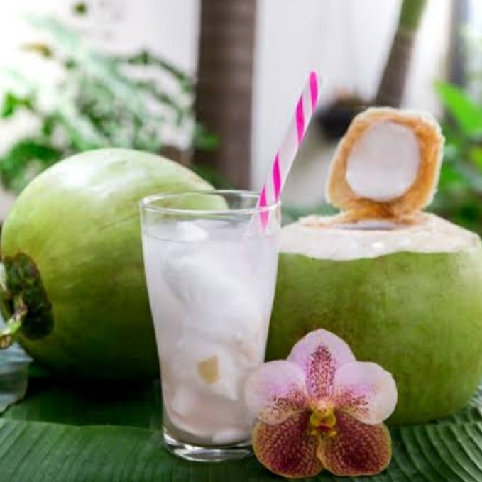 Kelapa Muda