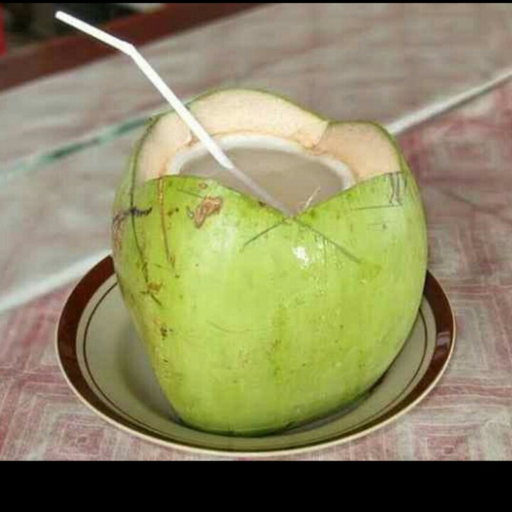 Kelapa Muda Murni
