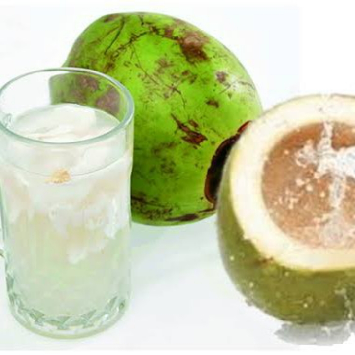 Kelapa Original