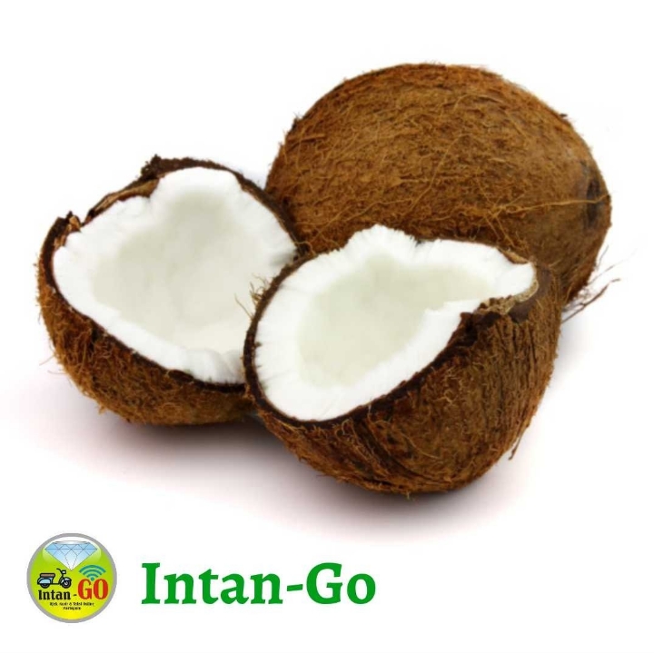 Kelapa Tanpa Parut