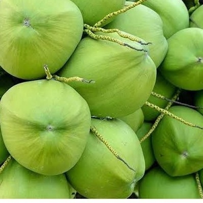 Kelapa Utuh Butiran