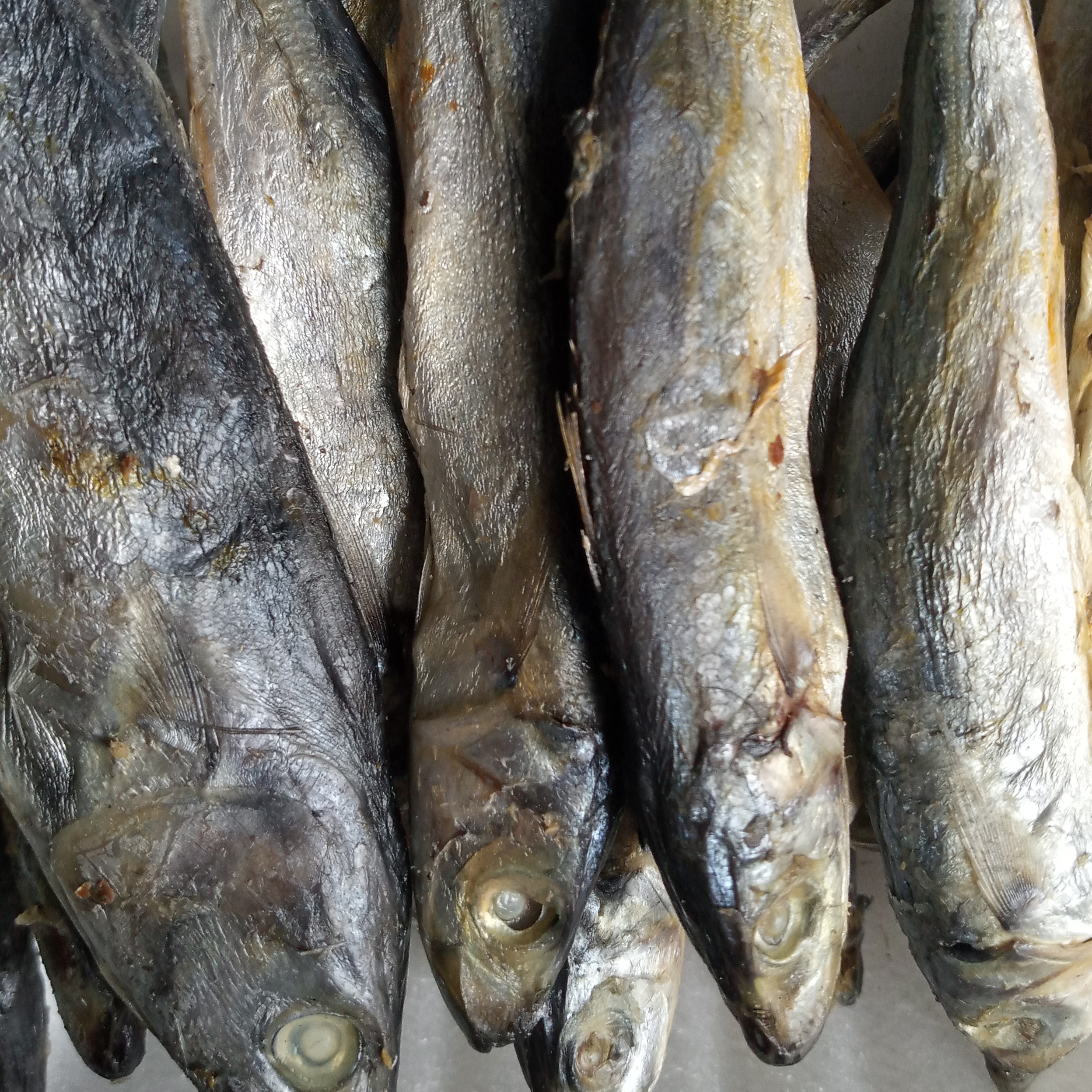 Kelotok Cop Besar 50 Gram