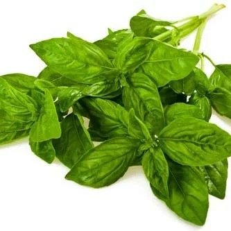 Kemangi
