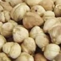 Kemiri 100gr