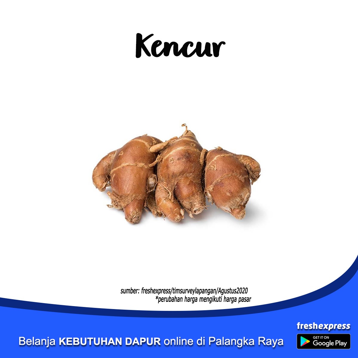 Kencur 50 Gram