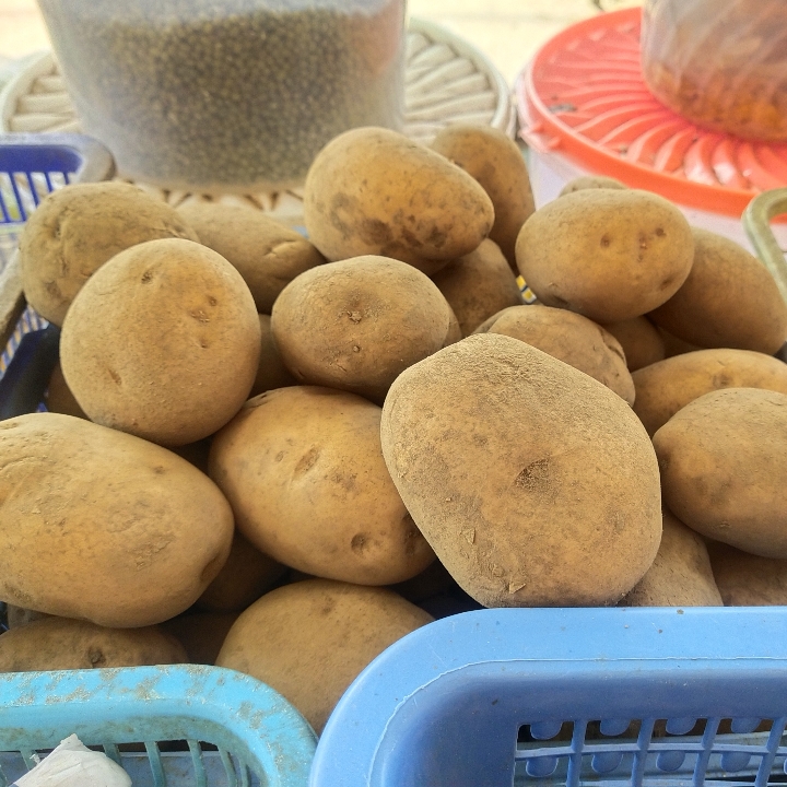 Kentang Perbuah