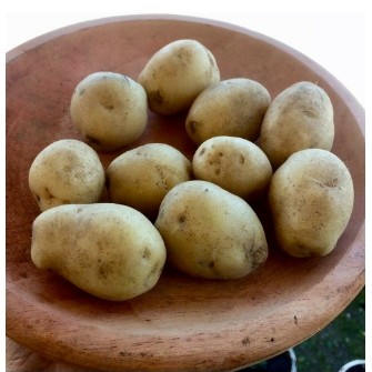 Kentang 1 Kg