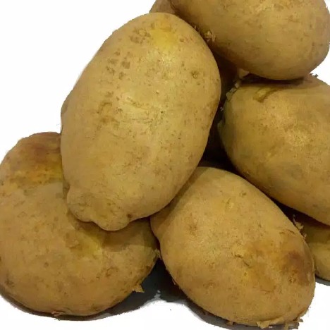 Kentang