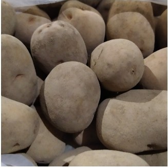 Kentang Merah Mato 500 gr