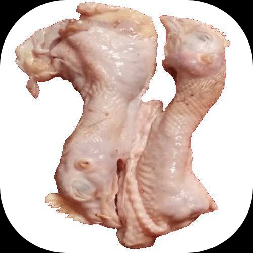 Kepala Ayam