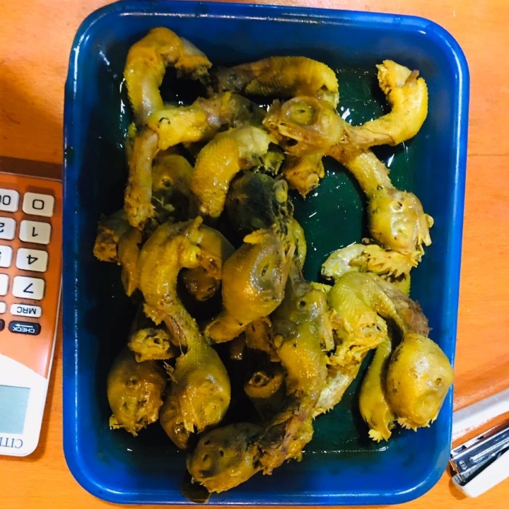 Kepala Ayam Kampung Dan Bebek